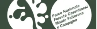 Parco Nazionale delle Foreste Casentinesi, Monte Falterona e Campigna