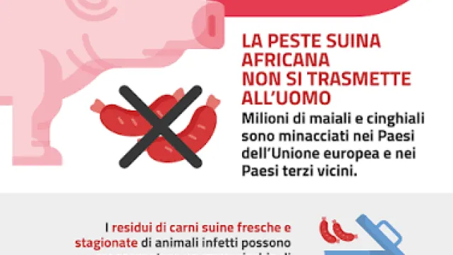 Peste suina africana