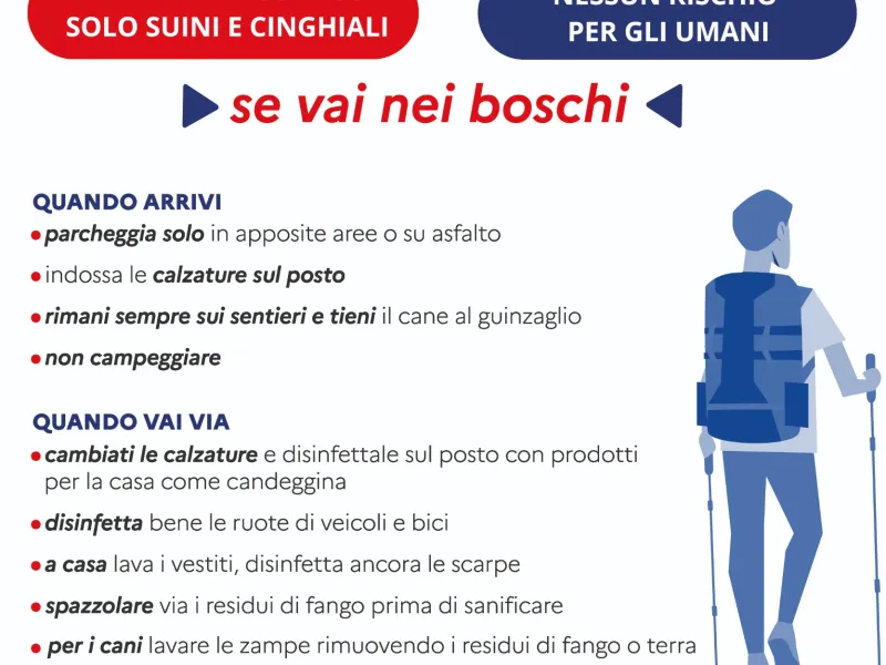 Scheda informativa Peste Suina Africana